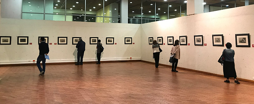 Exitosa inauguración de la exposición “La Tauromaquia” de Goya en Colombia